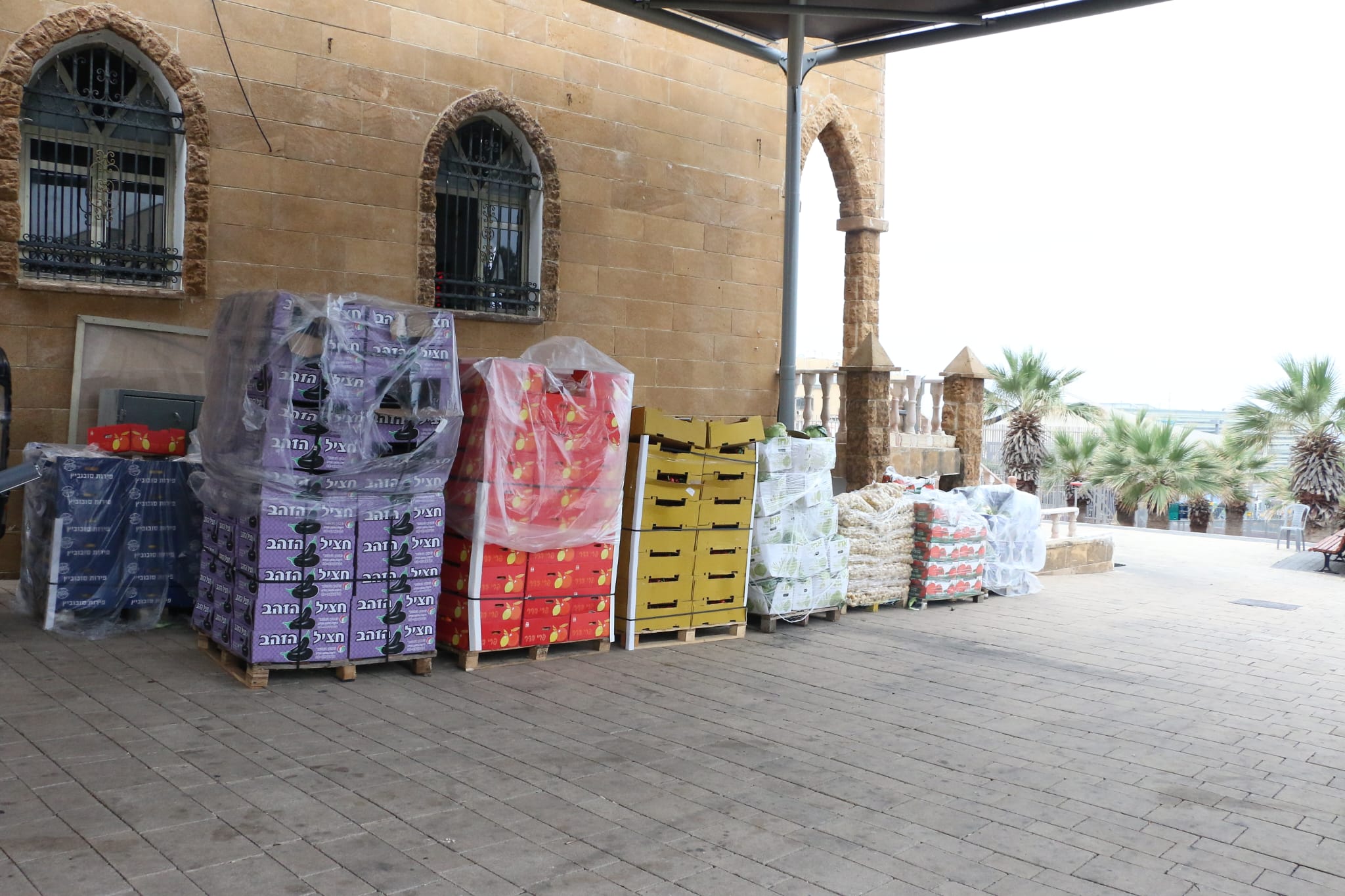 WhatsApp Image 2023-04-11 at 8.32.56 AM.jpeg